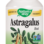 Astragalus Root