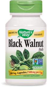 Black Walnut Hulls