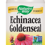 Echinacea Goldenseal