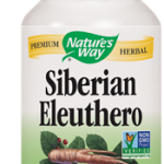 Siberian Eleuthero