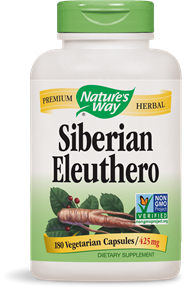 Siberian Eleuthero