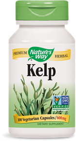Kelp