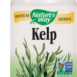 Kelp