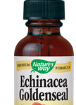 Echinacea Goldenseal