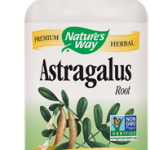 Astragalus Root