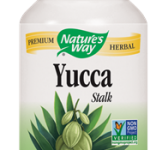 Yucca Stalk