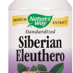 Siberian Eleuthero